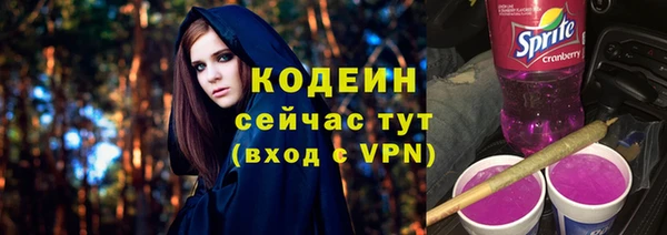 твердый Богданович