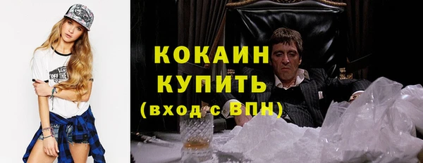 твердый Богданович