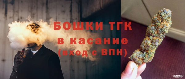 твердый Богданович