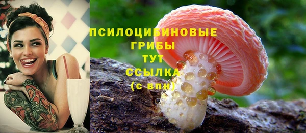 амфетамин Богородицк