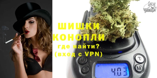 твердый Богданович
