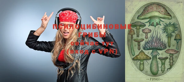 твердый Богданович