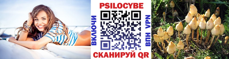 mega как войти  Шали  Псилоцибиновые грибы ЛСД 